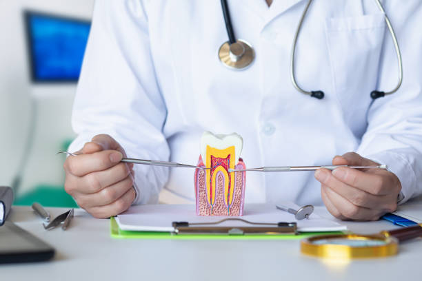 Best Tooth Pain Emergency Relief  in Dripping Springs, TX